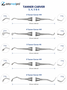 เครื่องมือแกะสลักและปรับรูปทรงวัสดุคอมโพสิตสแตนเลส Dental Tanner 3, 4, 5, 6 Carver สำหรับงานทันตกรรม OEM Zetomed Pro - Product Image 2