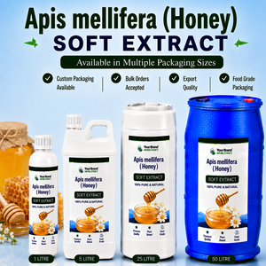 Miel d'Apis Mellifera, extrait doux, qualité alimentaire, pur naturel, emballage en vrac, étiquette personnalisée, durée de conservation de 18 mois, alimentation naturelle - Product Image 1
