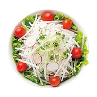 Trancheuse à julienne professionnelle PG-618, ustensile de cuisine pour couper les légumes, trancheuse à lame en acier inoxydable