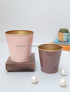 Jardinière de bureau en métal rose bordeaux entièrement personnalisable pour la décoration extérieure de jardin et de pépinière finition enduite de poudre - Product Image 2