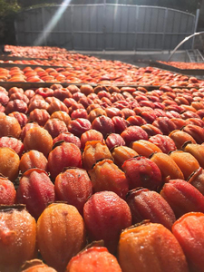 Tranches de kaki séchées naturelles en vrac, en gros, collations de fruits déshydratés, kaki entier sucré pour la vente dans la chaîne d'approvisionnement alimentaire mondiale - Product Image 6