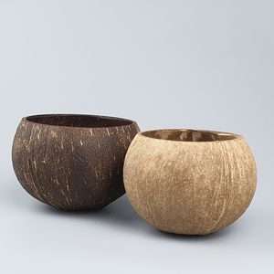 2025 Hot Trend Eco-friendly Natural Coconut Shell <b>Wooden</b> Rice Bowl 100% <b>Compostable</b> for Party Serving Mixed Vegetables Fruit - Product Image 6