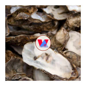 Conchas de Ostra Naturales Trituradas, Suplemento de Calcio para Aves de Corral, Gránulos para Gallinas Ponedoras, Acondicionador de Suelo, Fertilizante - Product Image 1