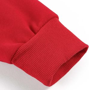 Sweat-shirt à capuche zippé pour homme de qualité supérieure, en molleton de coton doux, vêtements de sport pour activités de plein air, fabrication OEM, étiquette privée - Product Image 3