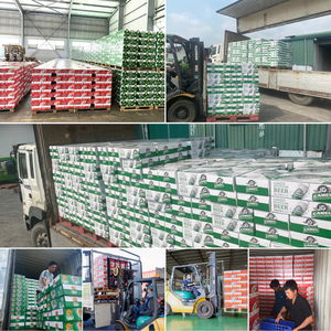 น้ำว่านหางจระเข้ที่ผ่านการรับรองจากฮาลาลสินค้าผลิตจากเยื่อขวด PET ขนาด500มล. ผลิตภัณฑ์แปรรูปรสจากเวียดนามพร้อมตัวอย่างฟรี - Product Image 6