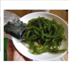 องุ่นทะเลอบแห้งราคาดีที่สุดจากเวียดนามสำหรับตลาดอาหารโลก - Product Image 3