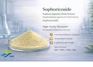 Suministro directo de fábrica HGO, extracto de fruta Sophora japonica Natural puro/extracto de fruta Styphnolobium japonicum Sophoricoside 80% - Product Image 4
