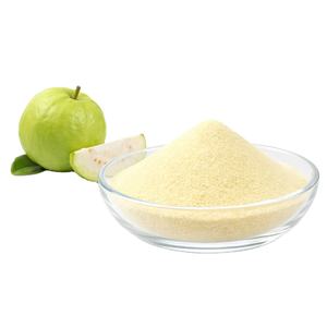 Polvo de Extracto de Guayaba Silvestre Premium de Grado Alimenticio para Procesamiento de Alimentos, Suministro a Granel desde Tailandia - Product Image 1