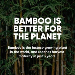 Mouchoirs en bambou 3 plis hypoallergéniques écologiques – 12 boîtes de 90 feuilles chacune, certifiés FSC et sans plastique - Product Image 4