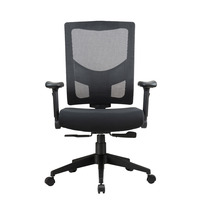 Chaise de bureau ergonomique avec dos en maille confortable, design moderne et réglages multiples pour le travail quotidien au bureau