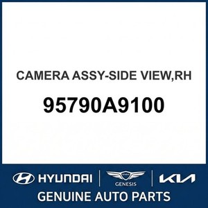 คาร์นิวัล อะไหล่รถยนต์และรถบรรทุกอื่นๆ รุ่นขวา 95790A9100 - Product Image 1