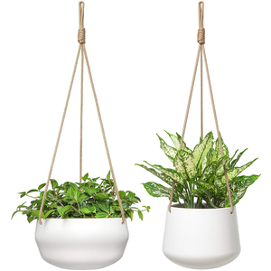 Pot suspendu moderne en métal avec barre en fer doré, style industriel, support pour plantes d'intérieur pour la décoration du salon, des fenêtres et du plafond - Product Image 4