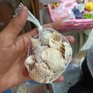 Assorted Single Variety Sea Shells Net Pack Natural Beach Shells for Craft Aquarium <b>Vase</b> Decor - Product Image 1