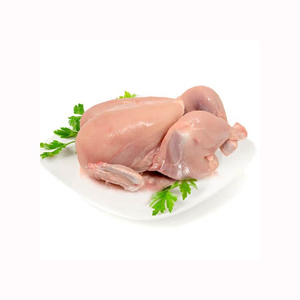 ขาไก่แช่แข็งคุณภาพสูง / ไก่ทั้งตัวแช่แข็ง / ปีกไก่แช่แข็ง - Product Image 1