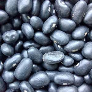 Haricots noirs en gros, qualité supérieure, secs, non-OGM, qualité alimentaire, approvisionnement en vrac, haute teneur en protéines, qualité export, à prix compétitif - Product Image 1