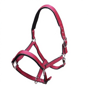 Halters de tête de cheval personnalisés PP et nylon du fabricant et fournisseur indiens pour l'équitation équestre - Product Image 1