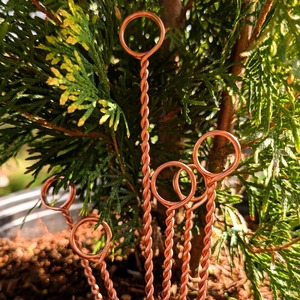 Varillas de cobre 100% reutilizables y aptas para electrocultivo, para estacas de plantas en cultivos de cobre, de fabricante y proveedor indio. - Product Image 3