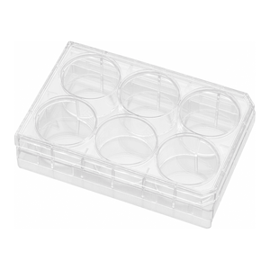 Plaques de culture Corning PureCoat ECM Mimetic Peptide pour la culture de cellules staminaires et de cellules primaires - Product Image 3