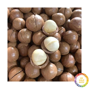 Premium Shelled Macadamia Nut From Vietnam Raw Form Adding Rich Taste to Commercial Biscuit and Sweet <b>Cookie</b> Making - Product Image 2