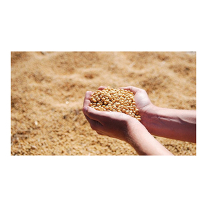 Farine de soja riche en protéines / Farine de graines de soja pour l'alimentation animale - Product Image 3