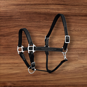 Cabestro de Cuero Genuino Personalizado para Caballo, Estilo Inglés, Acabado Cosido, Herrajes de Latón Niquelado, Narquera Acolchada - Product Image 2