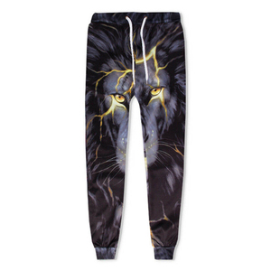 Ensemble de survêtement unisexe à capuche imprimé loup, coupe régulière, respirant, pour l'automne, en polyester, avec cordon de serrage et impression photo - Product Image 4