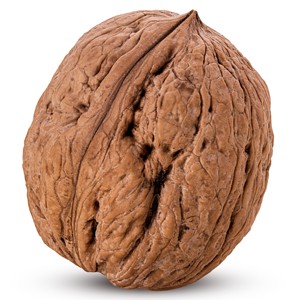 Nueces Orgánicas de Primera Calidad, Frescas, de 30 mm, Lavadas, Suministradas por la Fábrica, Precio Bajo, Envasado a Granel, 24 Meses de Duración - Product Image 1