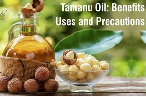 Aceite Esencial de Tamanu de Alta Pureza, Extraído de Semillas de Tamanu del Sur de la India, Proveedores Mayoristas que Ofrecen Precio Económico - Product Image 2