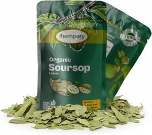 Hojas de Guanábana 100% Puras y Secas, Hojas Sueltas Naturales de Guanábana, Materia Prima Premium para Distribución Comercial, Gran Volumen, Precio Económico - Product Image 1