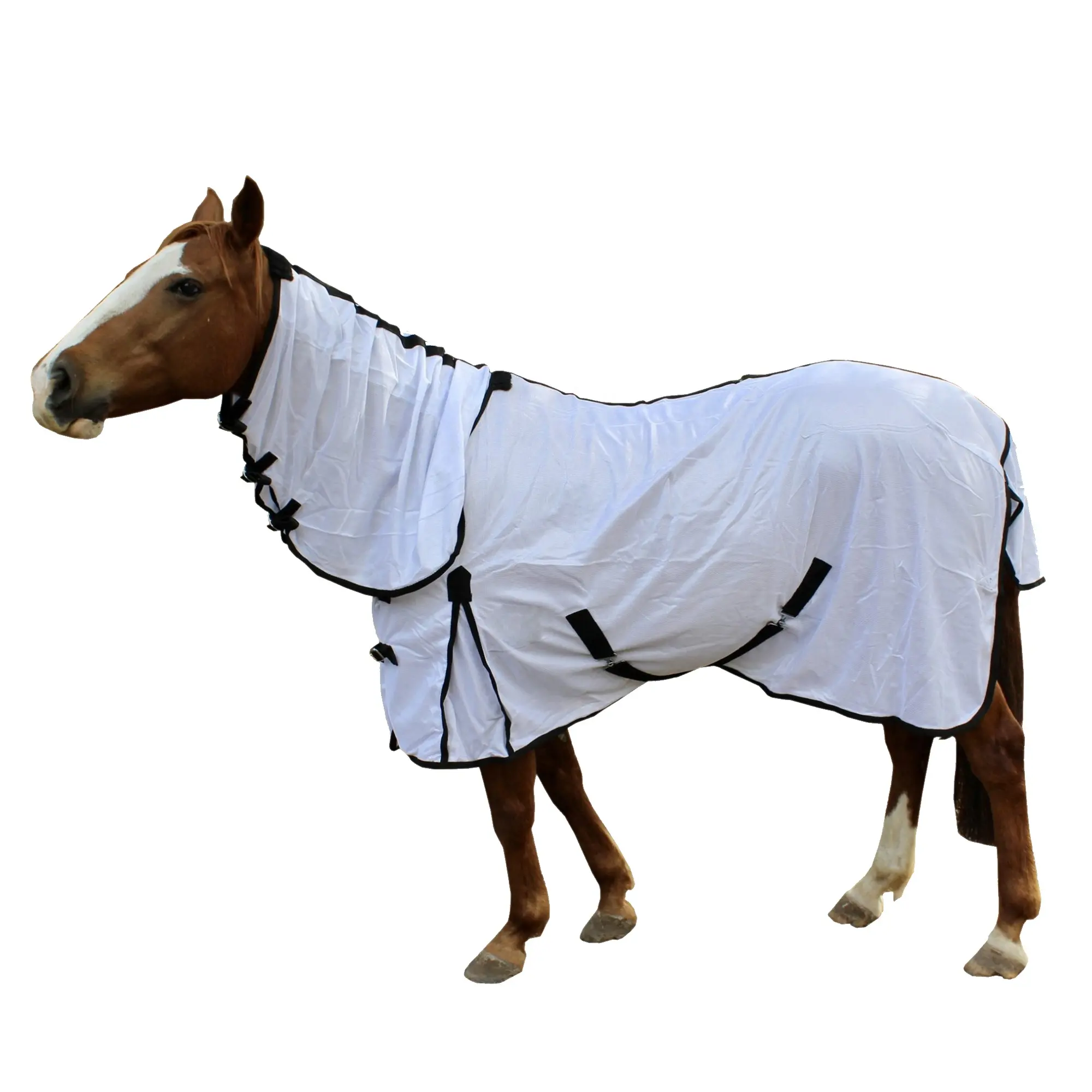 Kualitas Terbaik peralatan kuda modis disesuaikan berkuda Mesh karpet kuda tahan air melindungi dari gigitan serangga selimut