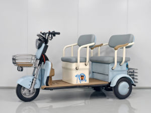 Tricycle électrique à usage récréatif avec alimentation par batterie au lithium, cadre en acier, véhicule électrique à 3 roues - Product Image 4