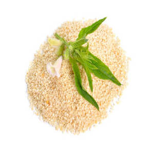Graines de sésame indiennes non décortiquées fraîchement récoltées pour cuisines commerciales, fabricants alimentaires, recettes traditionnelles et usage international - Product Image 1