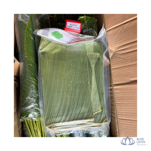 [VENTA EXITOSA] |   Hojas de Plátano Congeladas IQF a Granel, Grado A, Envasadas al Vacío, para Envolver Alimentos y Cocinar, Año Nuevo - Product Image 1