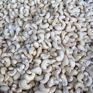 Hot Sale 2026 Raw Edible Cashew Kernel WW240 Whole Vietnam Cashew Nuts Import Price Ready to Ship - Product Image 1