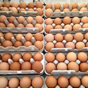 ไข่ไก่แบบเป็นลัง (สีน้ำตาลขาว) 100% ธรรมชาติ สดใหม่ ปลอดภัย บรรจุภัณฑ์แน่นหนา อายุการเก็บรักษา 2 เดือน เหมาะสำหรับร้านอาหารและร้านค้า - Product Image 2