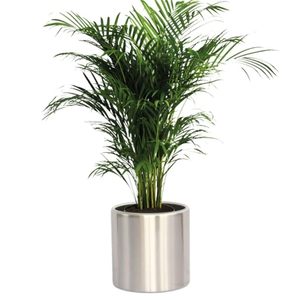 Heavy Duty Stainless Steel <b>Tree</b> <b>Planter</b> Pot Large Size with Clear Coated Exterior Corrosion Resistant Decorative Garden <b>Planter</b> - Product Image 1