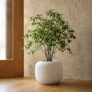 Jardinière ovale en fibre de verre lisse blanche Hieta Garden Patio Garden, pour extérieur et intérieur, décorative, 4 tailles - Product Image 2