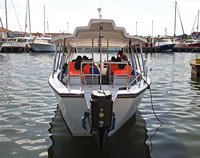 UBI 1230 Bateau-taxi de luxe en aluminium personnalisé pour 30 passagers, idéal pour les croisières haut de gamme, les excursions, la pêche et le transport fluvial