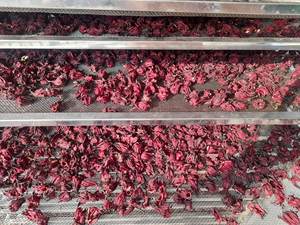 Té de Hibisco Seco en Flor para la Salud, Calices Enteros en Bolsa de PP, Ideal para Dispensadores de Buffet de Hoteles en Vietnam - Product Image 5