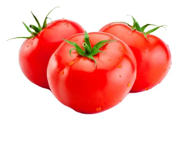 Tomat Tomat Merah Kualitas Tinggi Merek Unggulan Tersedia Dalam Jumlah Besar Pemasok dari India Ke Dunia