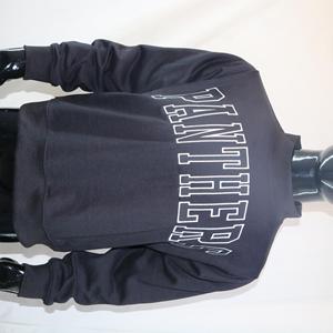 Sudadera PANTHERS con cuello simulado, 450 GSM, nombre personalizado, bordado en aplique, corte holgado, 100% algodón, felpa francesa. - Product Image 5