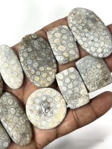 Coral noir naturel, pierres précieuses brutes, cabochons, formes et tailles variées, environ 20 à 30 mm - Product Image 5