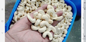 Nueces de Anacardo Orgánicas de Alta Calidad al por Mayor, Granos Fritos Premium, Snacks Saludables, Fabricación de Alimentos, Exportación Global, Grado Superior - Product Image 2