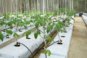 High Quality 100 % Organic Coir Grow <b>Bags</b> for planting direct bulk supply from Indian Suppliers - Product Image 4