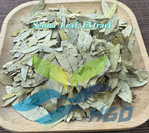 Extrait de feuille de séné naturel de qualité alimentaire, fourni directement par l'usine HGO, avec des sennosides A+B 10% standardisés - Product Image 2