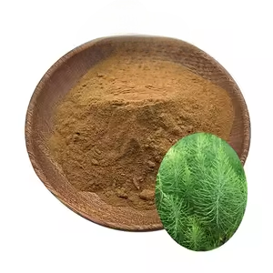 Polvo de Cola de Caballo 100% Puro y Natural (Equisetum Arvense), Polvo Herbal Premium Libre de Químicos, Rico en Sílice para el Crecimiento del Cabello - Product Image 6