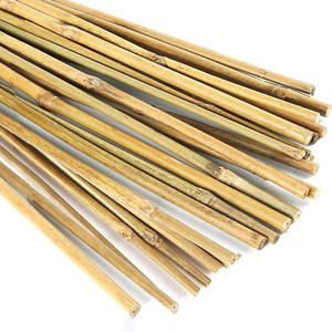 Manufacturer Thin <b>Thick</b> Solid Large Small Raw Cheap <b>Bamboo</b> <b>Canes</b> Sticks Poles for Fence From Vietnam - Product Image 1