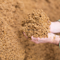 Ingrédient Alimentaire Premium pour Bétail, Volaille et Porcs : Grains Séchés Naturels de Brasseur, 40% Protéines et Fibres, Origine Vietnam