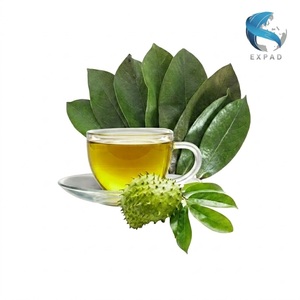 Natural Vietnamese Graviola Slimming <b>Tea</b> Premium Soursop Leaves Dried Herbal 25 <b>Tea</b> Bags/<b>Box</b> Net Weight 50gr Loose Leaf - Product Image 4