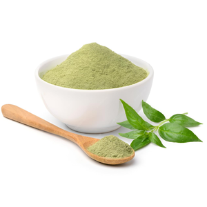 Poudre de Kalmegh Pure en Gros, Poudre d'Andrographis Paniculata, Matière Première, Poudre d'Herbes Fines pour Produits de Bien-être - Product Image 1